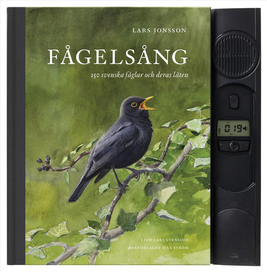 Fågelsång