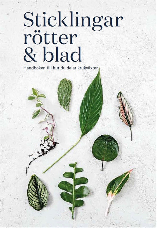 Sticklingar, rötter & blad